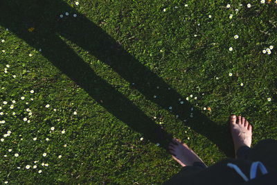 Low section of man shadow on grass