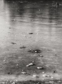 High angle view of duck swimming in lake during winter