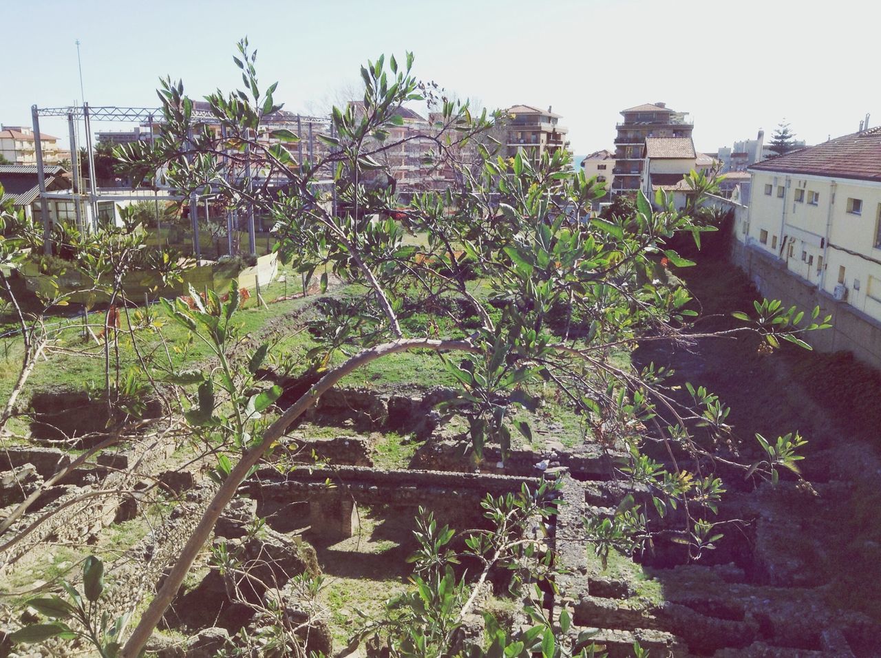 built structure, architecture, building exterior, plant, growth, house, tree, clear sky, wall - building feature, growing, residential structure, green color, old, stone wall, day, building, residential building, outdoors, no people, potted plant