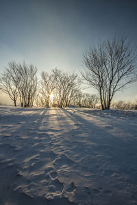 Bare trees on snow covered field against sky