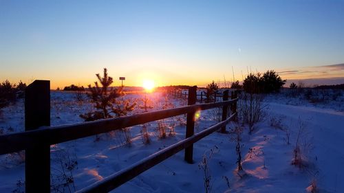 Snow covered trees against sky during sunset