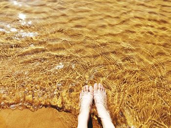 Low section of person standing on beach