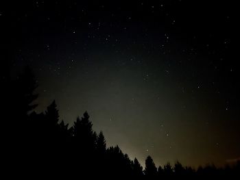 Low angle view of silhouette trees against sky at night