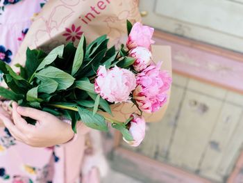 Close-up of hand holding pink flowering plant