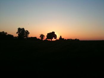 Silhouette trees on field against clear sky during sunset