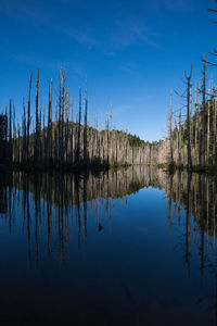 Scenic view of lake against blue sky