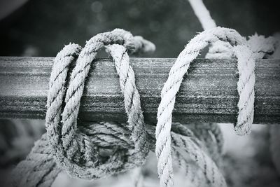 Close-up of rope tied on metal