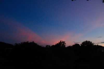 Silhouette trees against sky at sunset