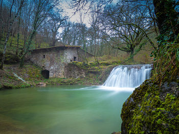 Scenic view of waterfall in forest