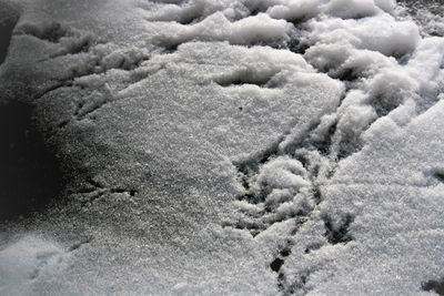 Full frame shot of snow covered land