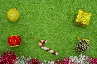 High angle view of fresh green leaf on grass