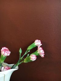 Close-up of pink flowers