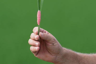 Close-up of hand holding leaf against green background