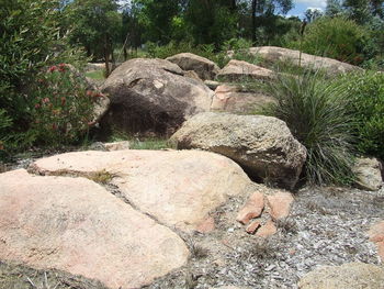 Rocks on landscape