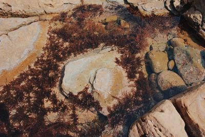 High angle view of rock formations in sea