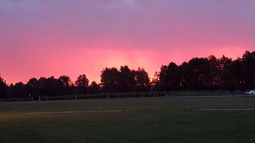 Trees on field against cloudy sky