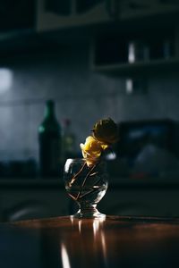 Close-up of yellow flower on table