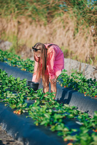 Rear view of woman standing amidst plants