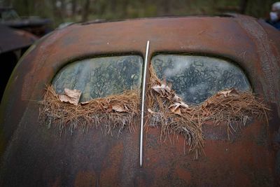 Close-up of old rusty car