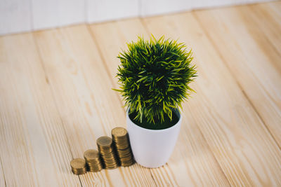 High angle view of potted plant on table