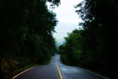 Empty road along trees