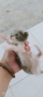 High angle view of hand holding baby outdoors