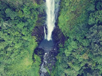 High angle view of waterfall amidst trees