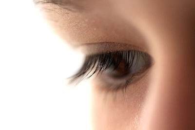 Extreme close-up of human eye against white background