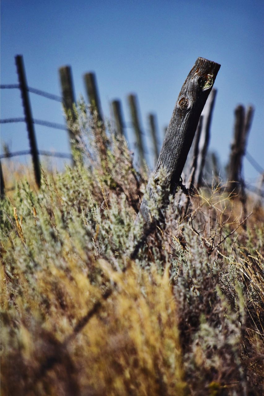 CLOSE-UP OF BARBED WIRE ON WOODEN FENCE