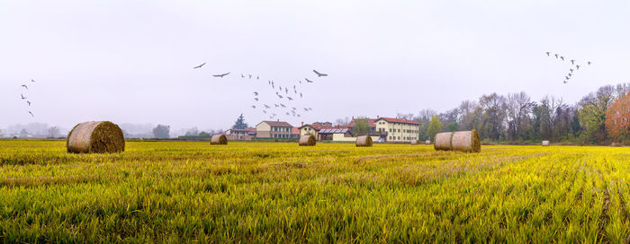 View of field against sky