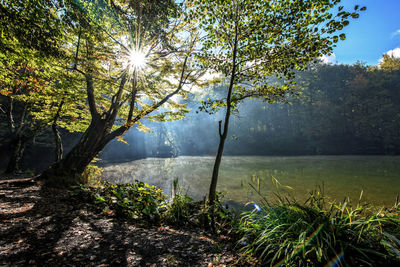 Sun shining over lake