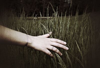 Midsection of man touching grass on field