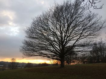 Silhouette bare tree on field against sky during sunset