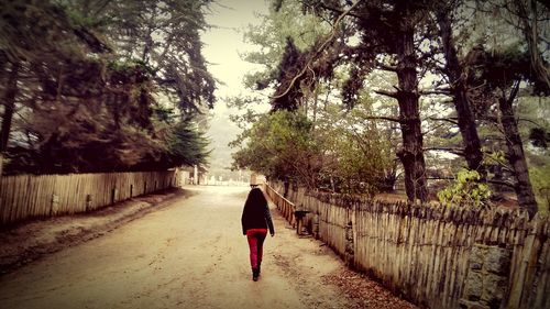 Rear view of woman walking on footpath