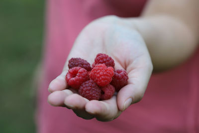 Midsection of woman holding strawberries