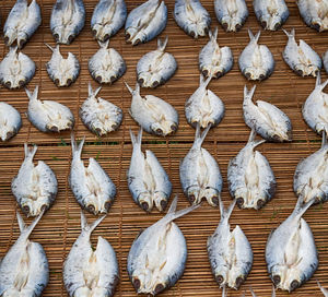 Full frame shot of eggs in market