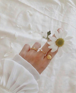 Close-up of hand holding white flowering plant