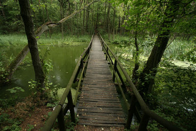 Wooden footbridge over lake in forest