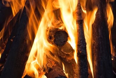 Close-up of bonfire at night