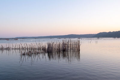 Scenic view of sea against clear sky during sunset