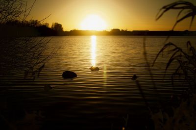 Scenic view of lake against sky during sunset