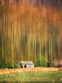 Barn on field against trees