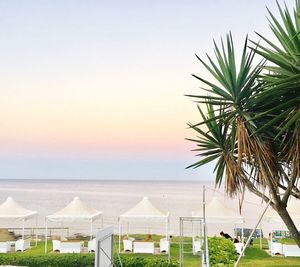 Palm trees on beach against clear sky