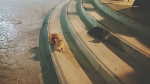 High angle view of people at airport