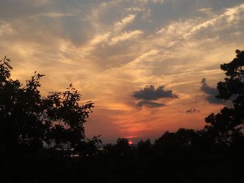 Silhouette of trees at sunset