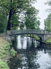 Bridge over river amidst trees