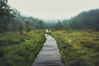 Boardwalk amidst trees in forest against clear sky