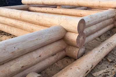 Stack of logs in forest