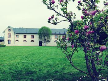 House and trees on field against sky