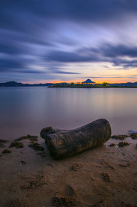 Scenic view of driftwood on beach against sky during sunset